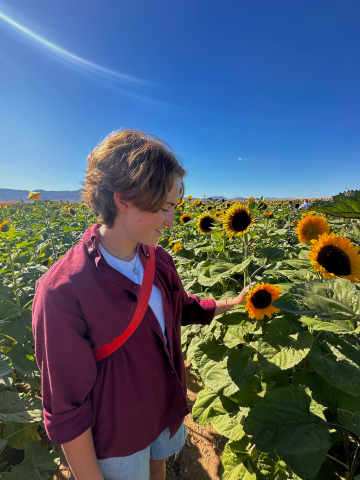 Sawyer Sullivan in a field of sunflowers