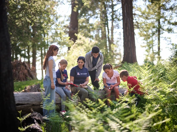 Sky School education