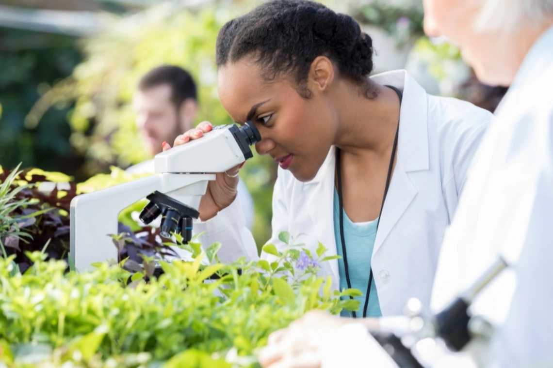 Woman examining a plant under a microscope