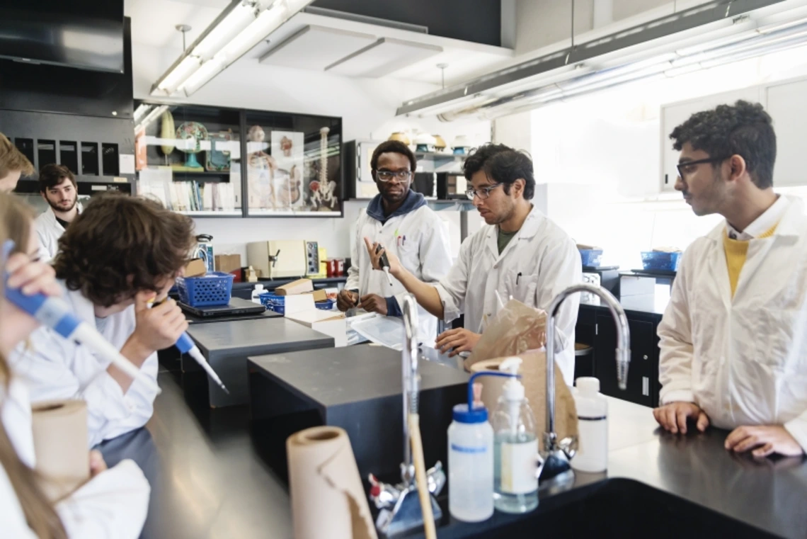 Four scientists working together in a lab