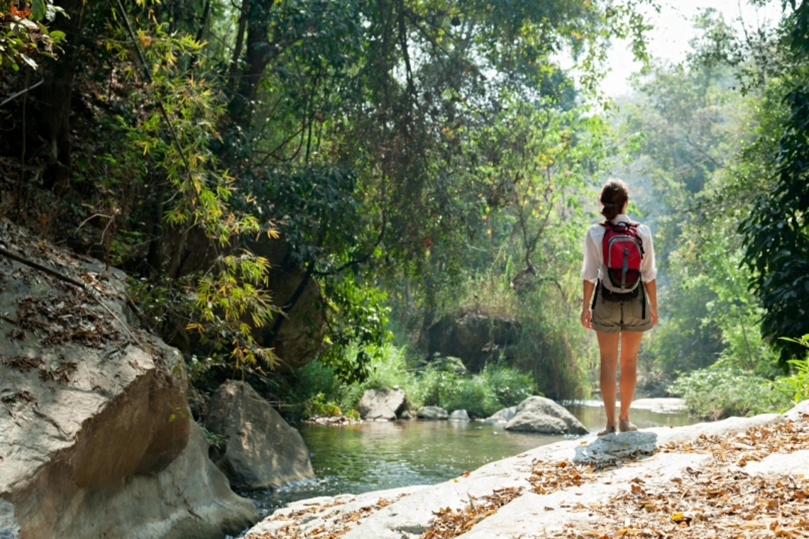 A woman standing on the edge of a creek surrounded by forestry