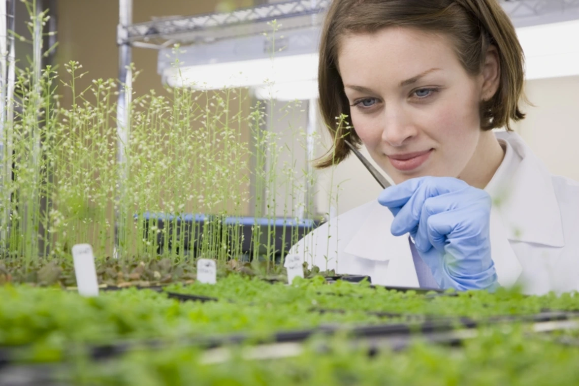 A woman in a lab coat examining a plant sample