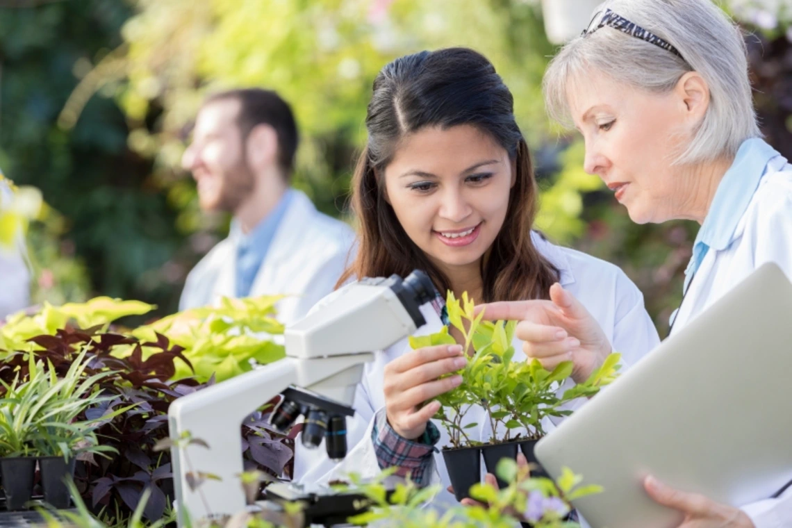 Two women researchers in labcoats inspecting plants under a microscope