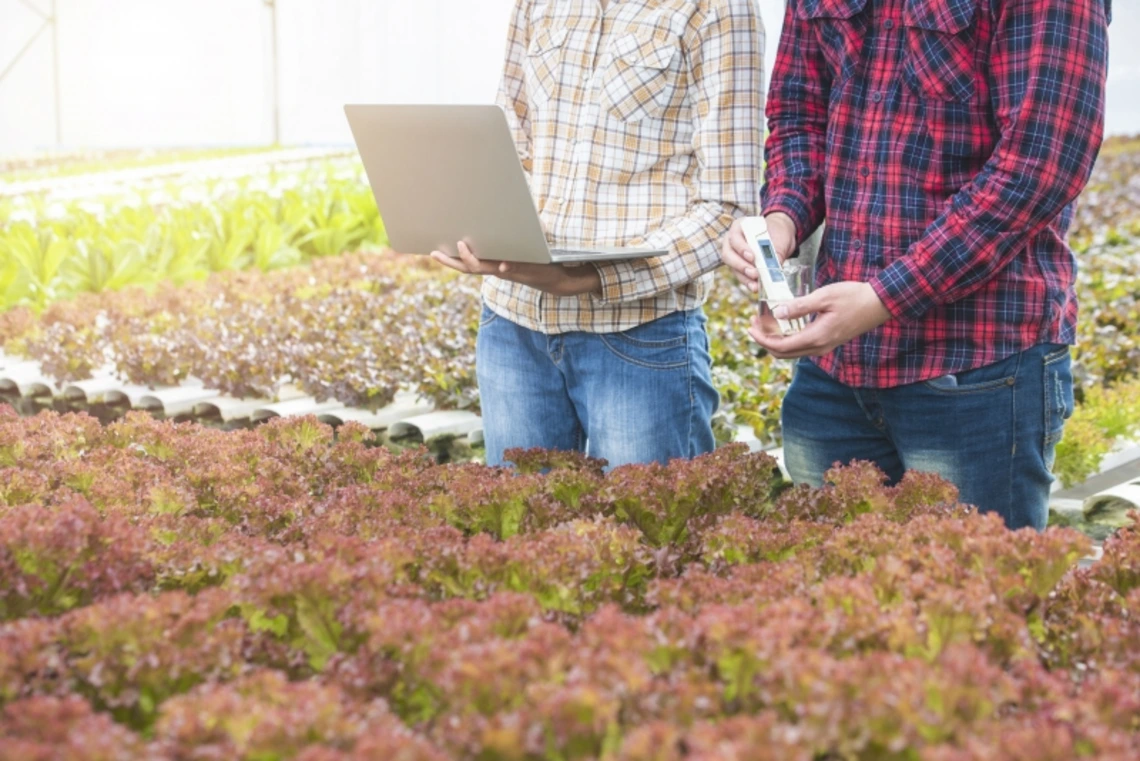 Two people inspecting plants with a laptop and some sensor equipment