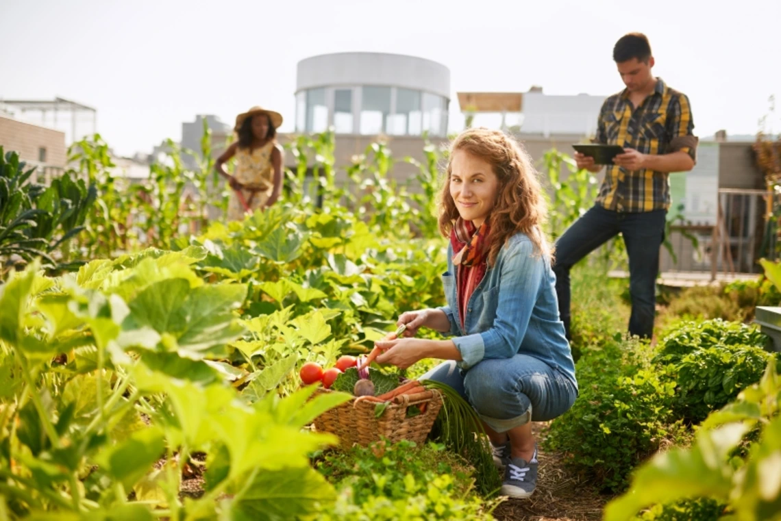 A woman picking vegetables out of an urban garden