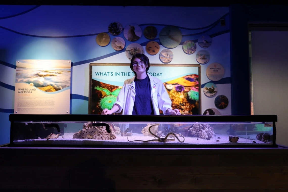 University of Arizona geophysics undergraduate student and Flandrau staff member Ash Abbate waits to greet visitors at the aquatic touch tank located in the new Undersea Discovery exhibit. Within the tank are brittle stars, sea urchins and sea cucumbers.