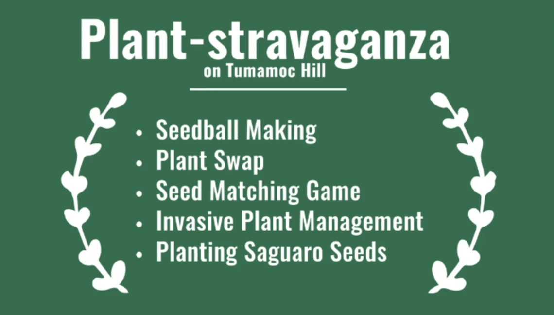 Plant-Stravaganza and activities