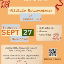 Wildlife Extravaganza Flyer