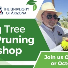 Young Tree Care Pruning Workshop