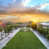 U of A campus mall at sunrise