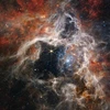 The James Webb Space Telescope reveals details of the structure and composition of the nebula as well as dozens of background galaxies.