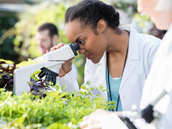 Woman examining a plant under a microscope