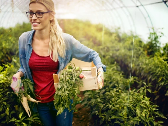 A woman carrying root vegetables harvested from a greenhouse