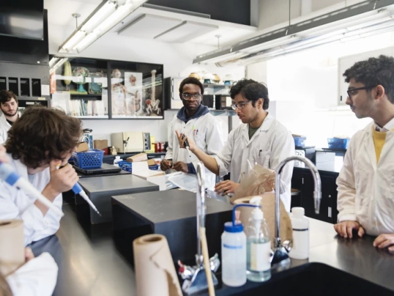 Four scientists working together in a lab