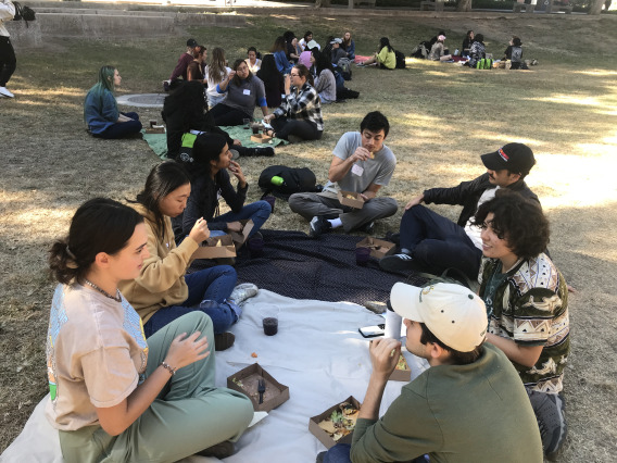 Students eating tacos on a picnic blanket in a courtyard