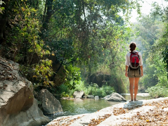 A woman standing on the edge of a creek surrounded by forestry