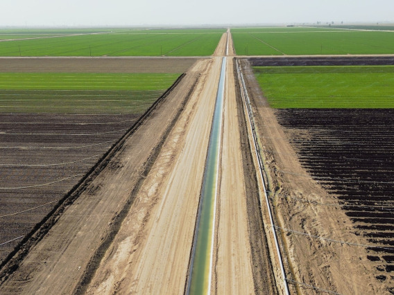 Irrigated field in the Southwest U.S.
