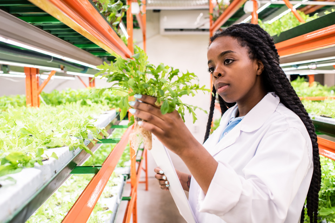 A research scientist examining a plant in a controlled environment