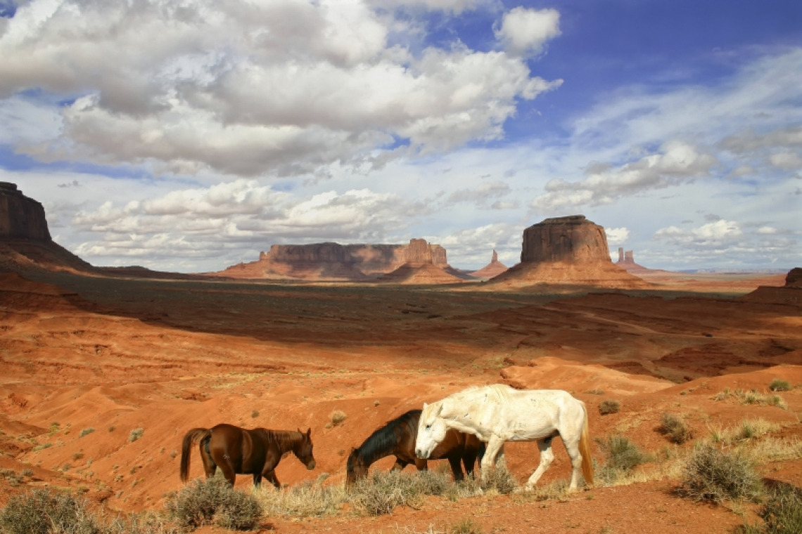 Horses grazing in a desert landscape