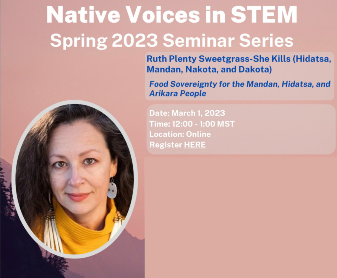 Native Voices in STEM