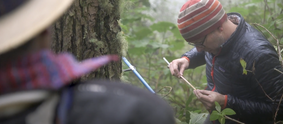 man collecting sample from tree trunk
