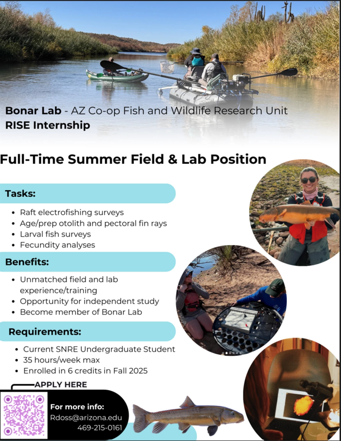 Internship Flyer