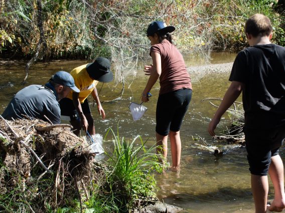 Students use nets to sample insects in Santa Cruz.